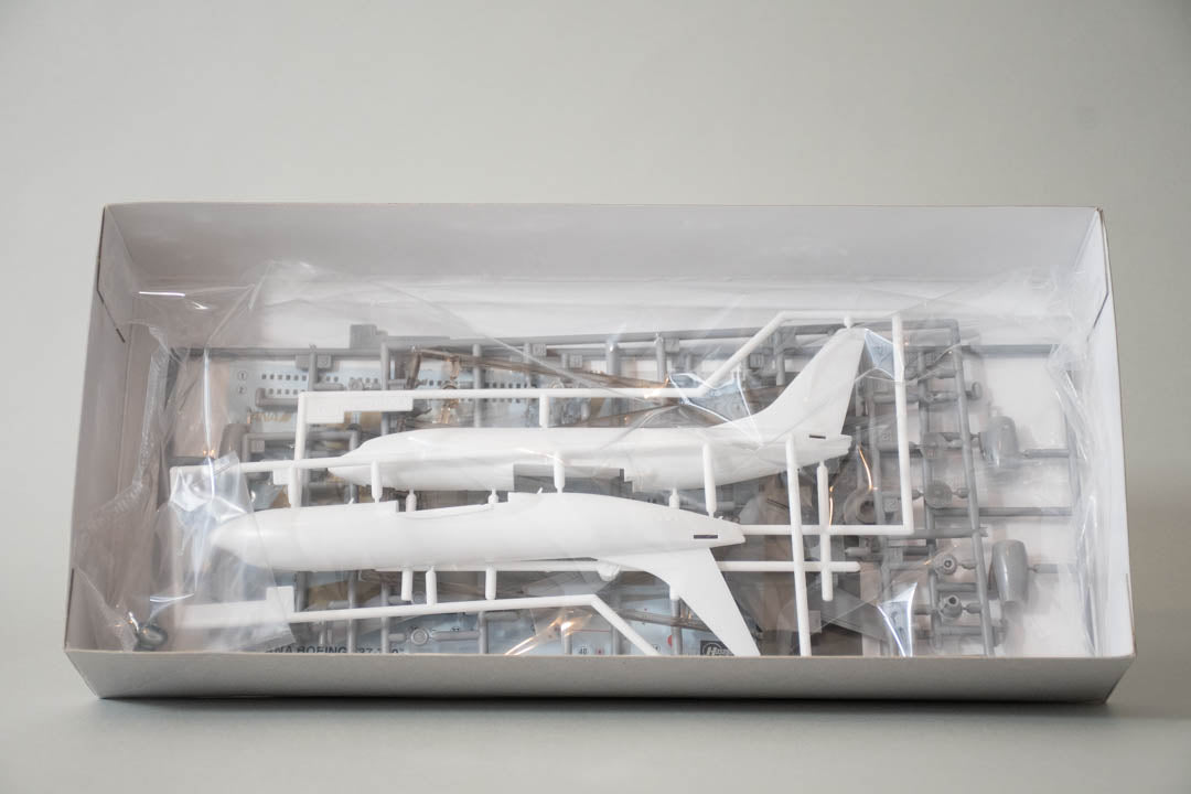 ANA ボーイング737-700 ゴールド塗装